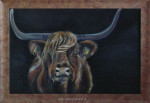Onbekend, Taurus, inlijsten