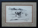 Wim Steijn, houtskool tekening koeien, passe-partout en inlijsten