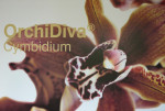 Reclamedoek Orchidiva, 2,00 x 1,30 meter, opspannen