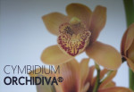 Reclamedoek Orchidiva, 1,75 x 1,15 meter, opspannen