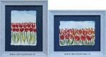 Jos Vegter, aquarellen Tulpen, zwevend inlijsten
