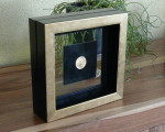 Gouden munt, 3D inlijsting