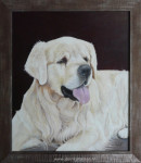 G.van Beek, Golden Retriever, inlijsten
