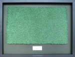 Kunstgras veld 1, Hockeyclub Qui Vive, 3D inlijsting