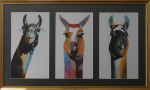 Ulderico Puma Ccama, aquarel lama's, passe-partout&inlijsten