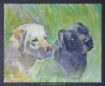 Onbekend, Labrador Retrievers, inlijsten
