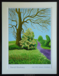 Poster, David Hockney, passe-partout en inlijsten