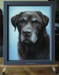 Onbekend, Labrador Retriever, inlijsten